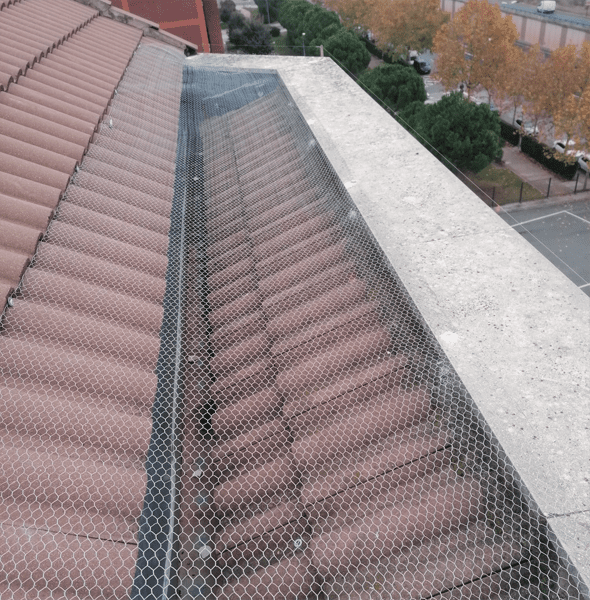 EuroALturas - Servicios - Instalación de Sistemas Antipalomas 