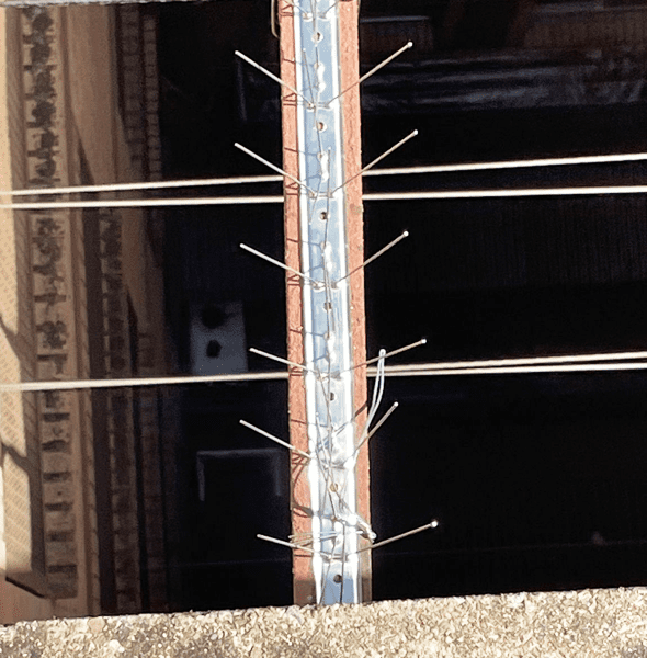 EuroALturas - Servicios - Instalación de Sistemas Antipalomas 